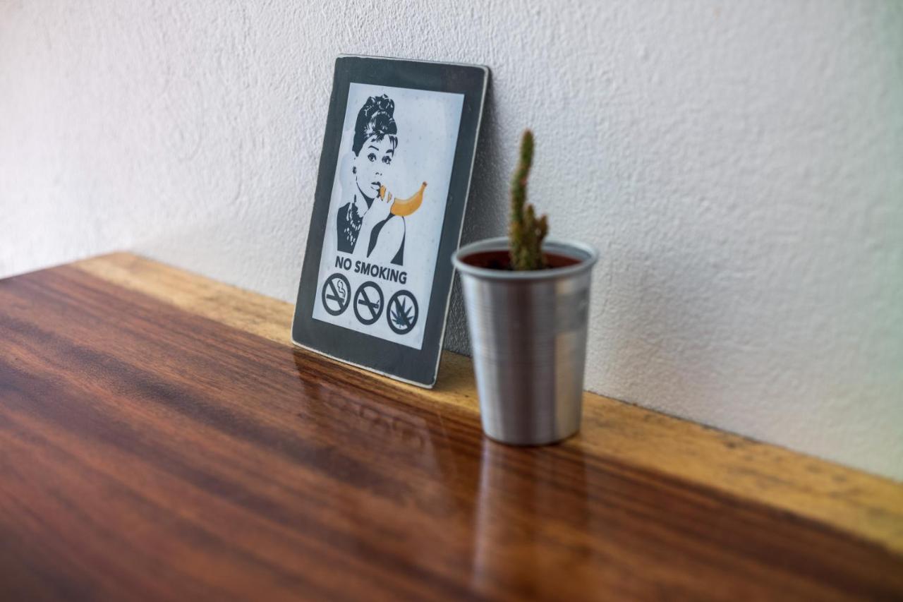 Apartament Salt Nosara Zewnętrze zdjęcie